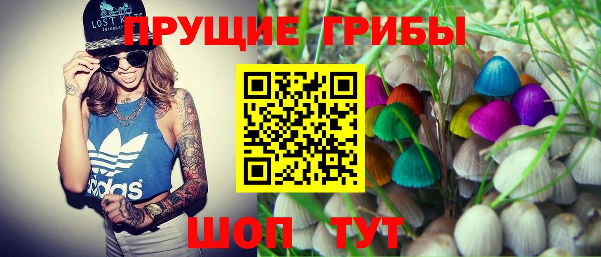 Галлюциногенные грибы ЛСД Мыски