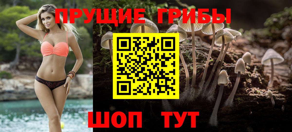 как найти закладки  Вход с VPN  Мыски  Псилоцибиновые грибы прущие грибы 